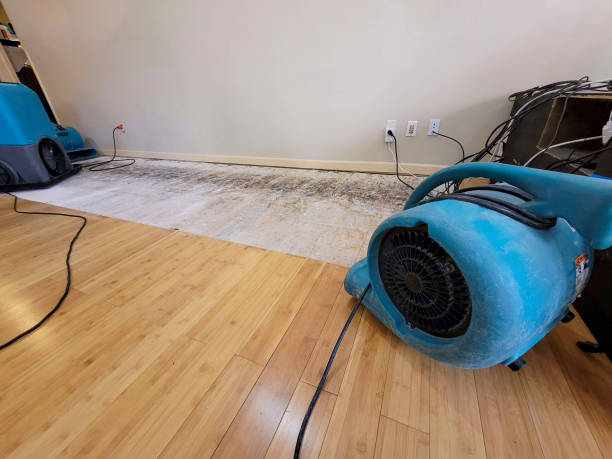 Reliable Basement Flood Cleanup contractor in Van, WV by Hirex Water Damage