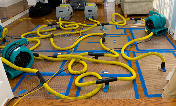 Professional Basement Flood Cleanup technician working in Van, WV