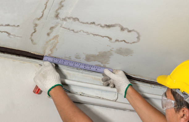 Affordable Basement Flood Cleanup solutions in Van, WV